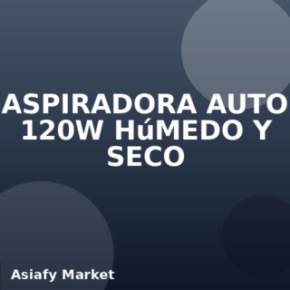 Aspiradora Auto 120W Húmedo y Seco
